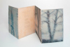Rantakoivulleni / For my Lakeside Birch, 2007, akvarelli vanerille / watercolour on plywood, 45 x 112 cm
